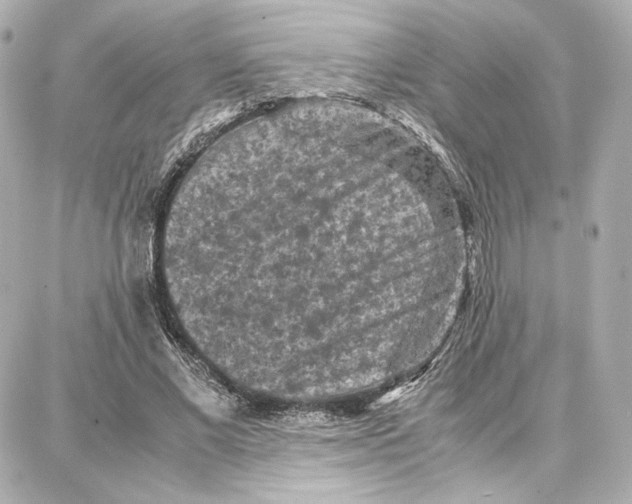 X0000087670685200705251619