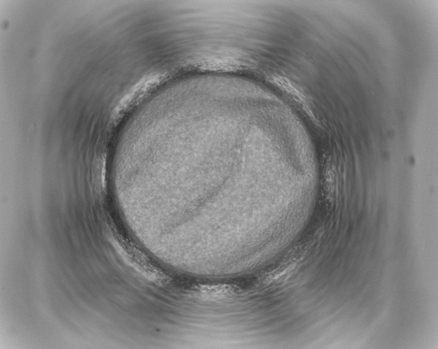 X0000087670686200705251619