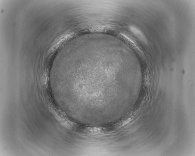 X0000087670687200705251619