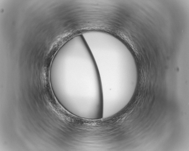 X0000087670688200705251619