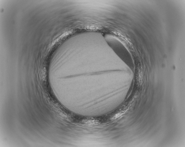 X0000087670689200705251619