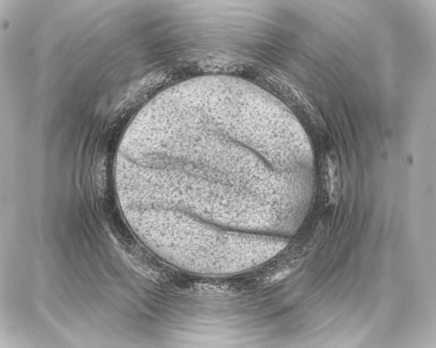 X0000087670690200705251619