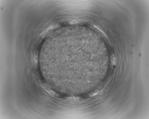 X0000087670691200705251619