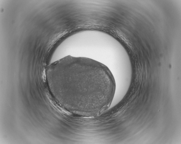 X0000087670692200705251619