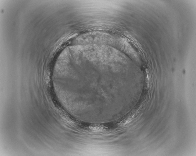 X0000087670693200705251619