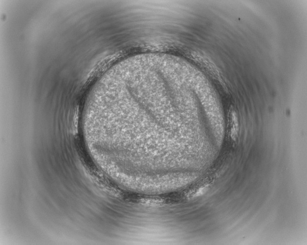 X0000087670694200705251619