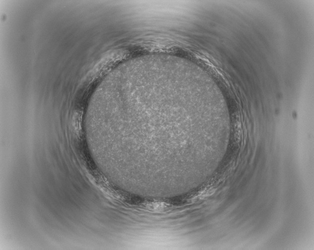 X0000087670695200705251619