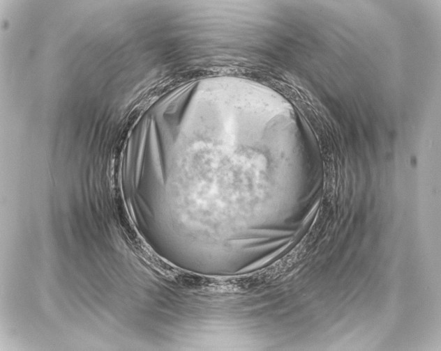 X0000087670696200705251619