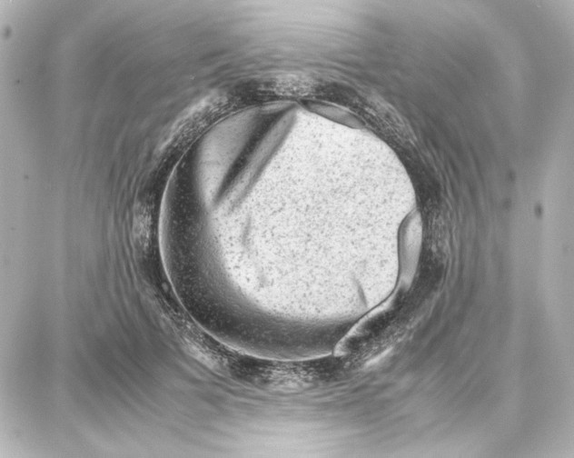 X0000087670697200705251619