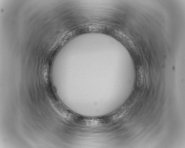 X0000087670698200705251619