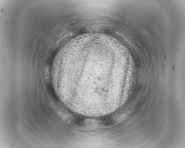 X0000087670699200705251619