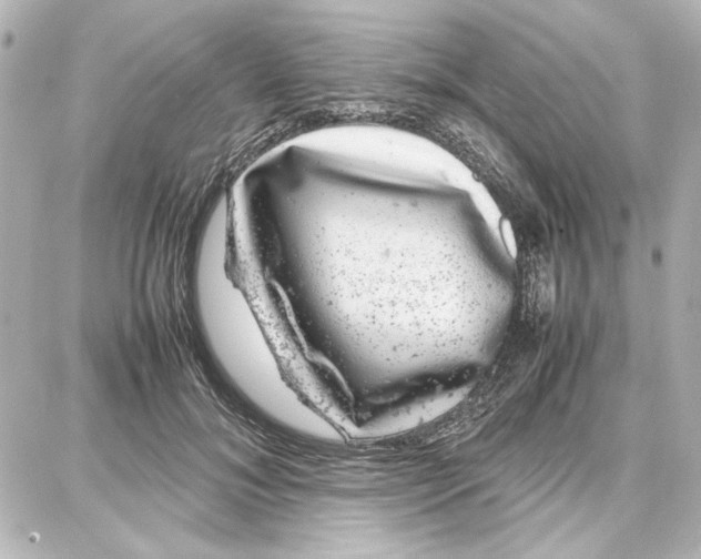 X0000087670700200705251619