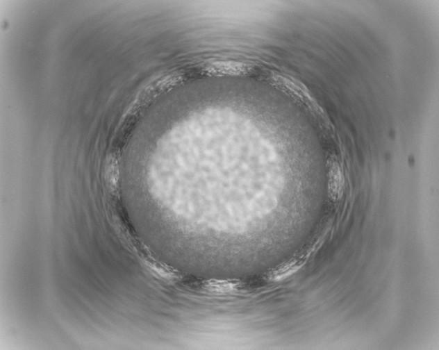 X0000087670701200705251619