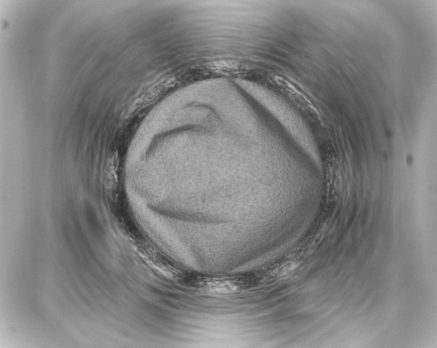 X0000087670702200705251619