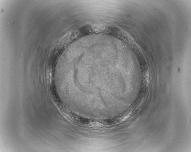 X0000087670703200705251619