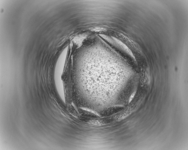 X0000087670704200705251619