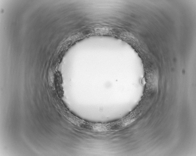 X0000087670705200705251619