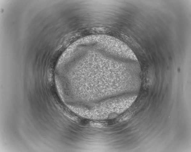 X0000087670706200705251619