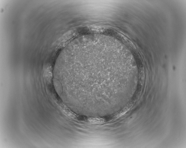 X0000087670707200705251619