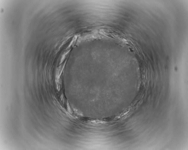 X0000087670708200705251619