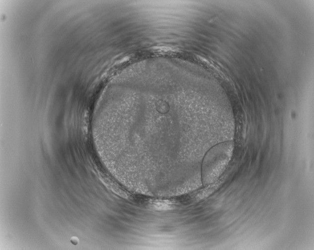 X0000087670710200705251619