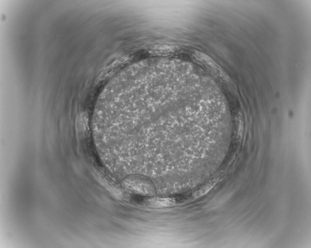 X0000087670711200705251619