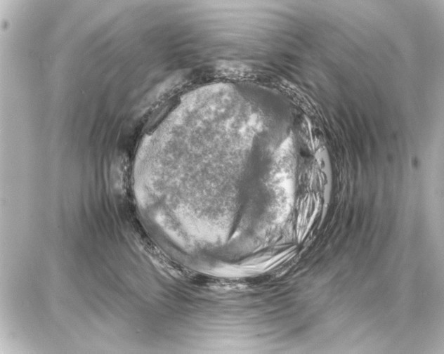 X0000087670712200705251619