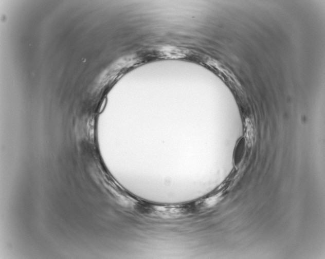 X0000087670713200705251619