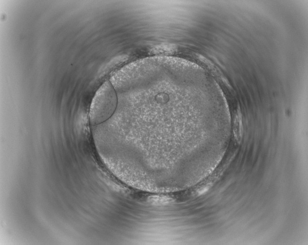 X0000087670714200705251619