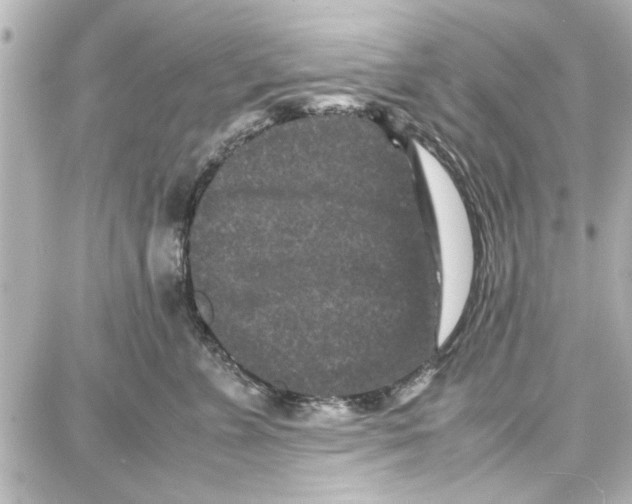 X0000087670715200705251619