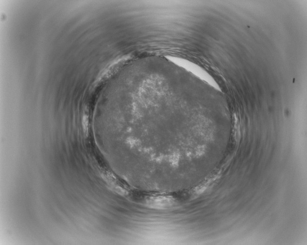 X0000087670716200705251619