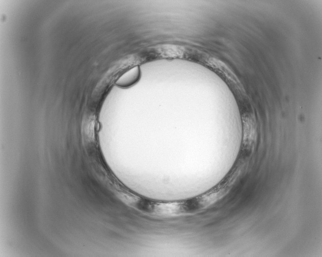 X0000087670717200705251619