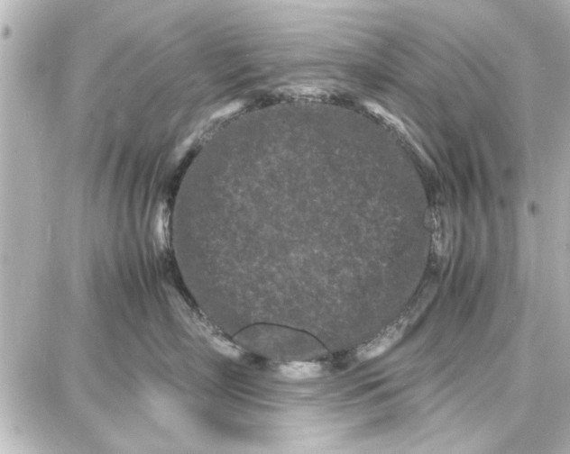 X0000087670718200705251619