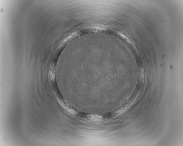 X0000087670719200705251619