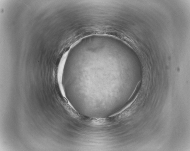 X0000087670720200705251619