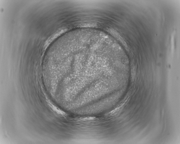 X0000087670721200705251618