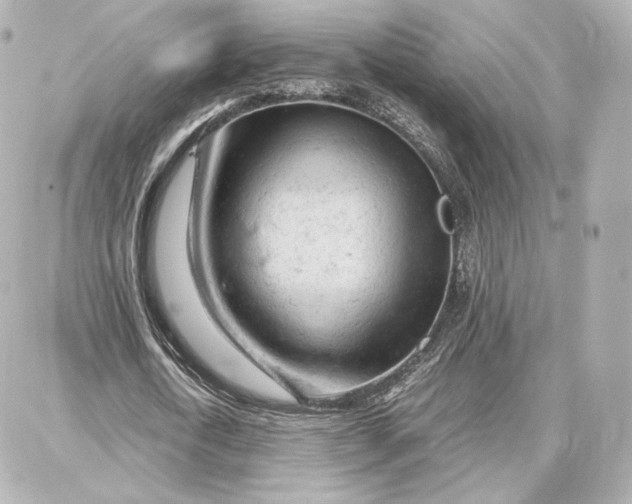 X0000087670722200705251618