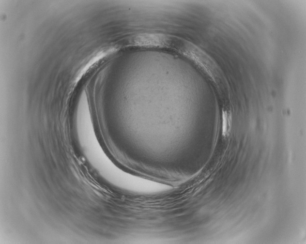 X0000087670723200705251618