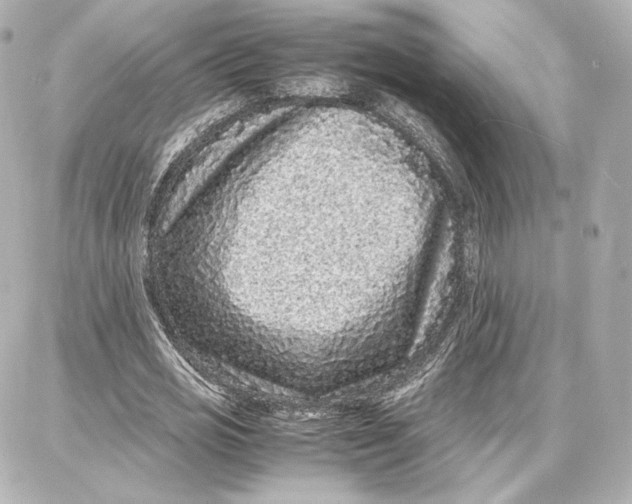 X0000087670725200705251618