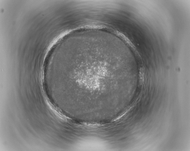 X0000087670726200705251618