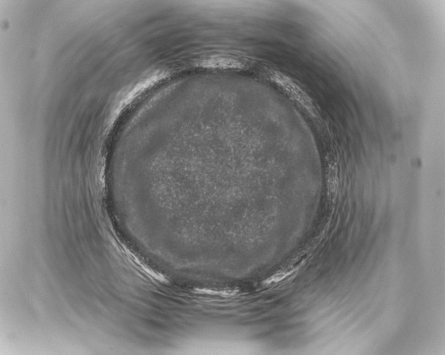 X0000087670727200705251618