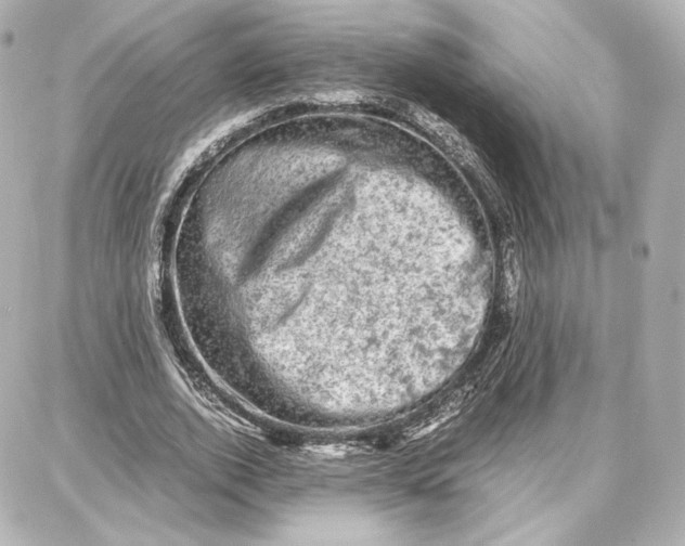 X0000087670728200705251618