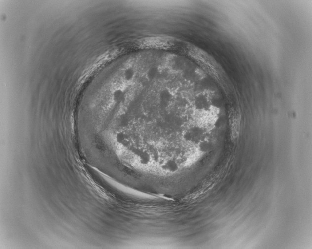 X0000087670729200705251618