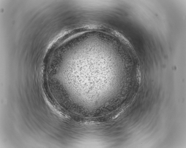 X0000087670730200705251618