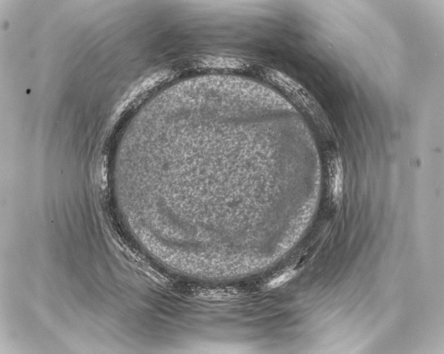 X0000087670731200705251618