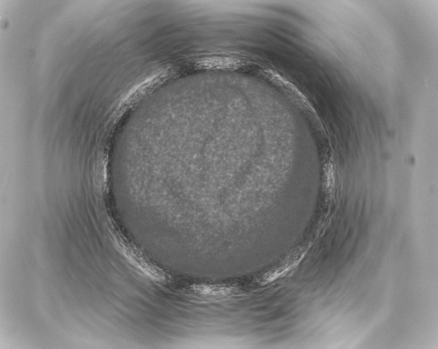 X0000087670733200705251618