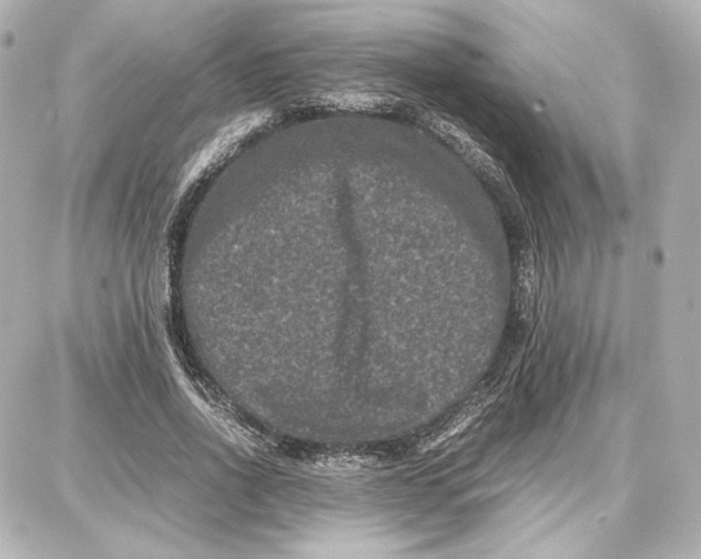 X0000087670734200705251618