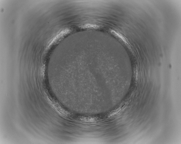 X0000087670735200705251618