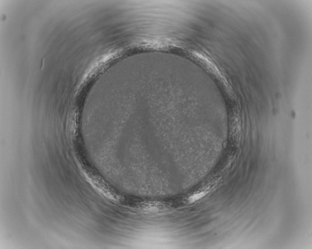 X0000087670736200705251618