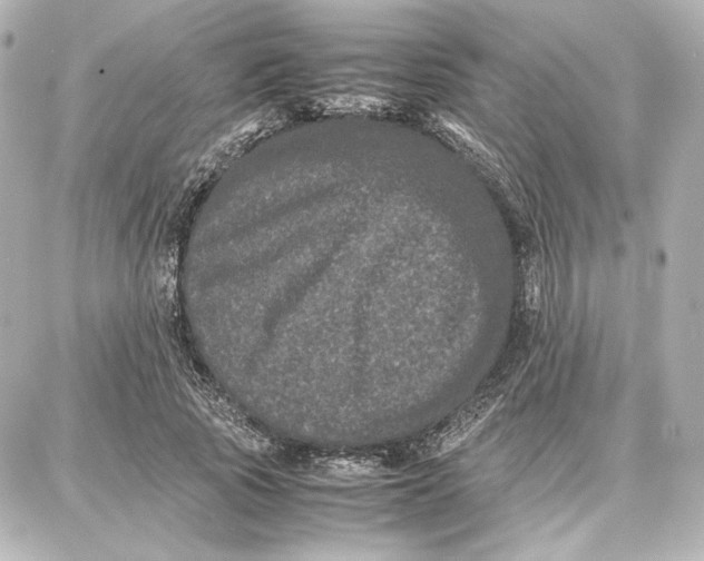 X0000087670737200705251618